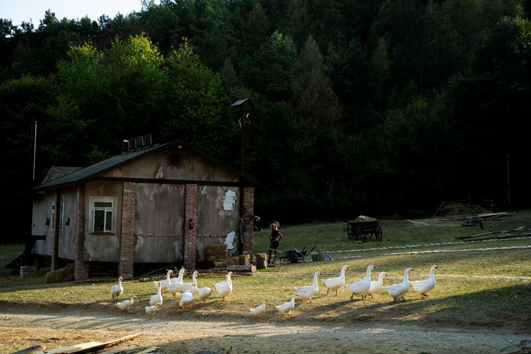 28. a 29. deň na Farme, Kúria vyhrala štafetu