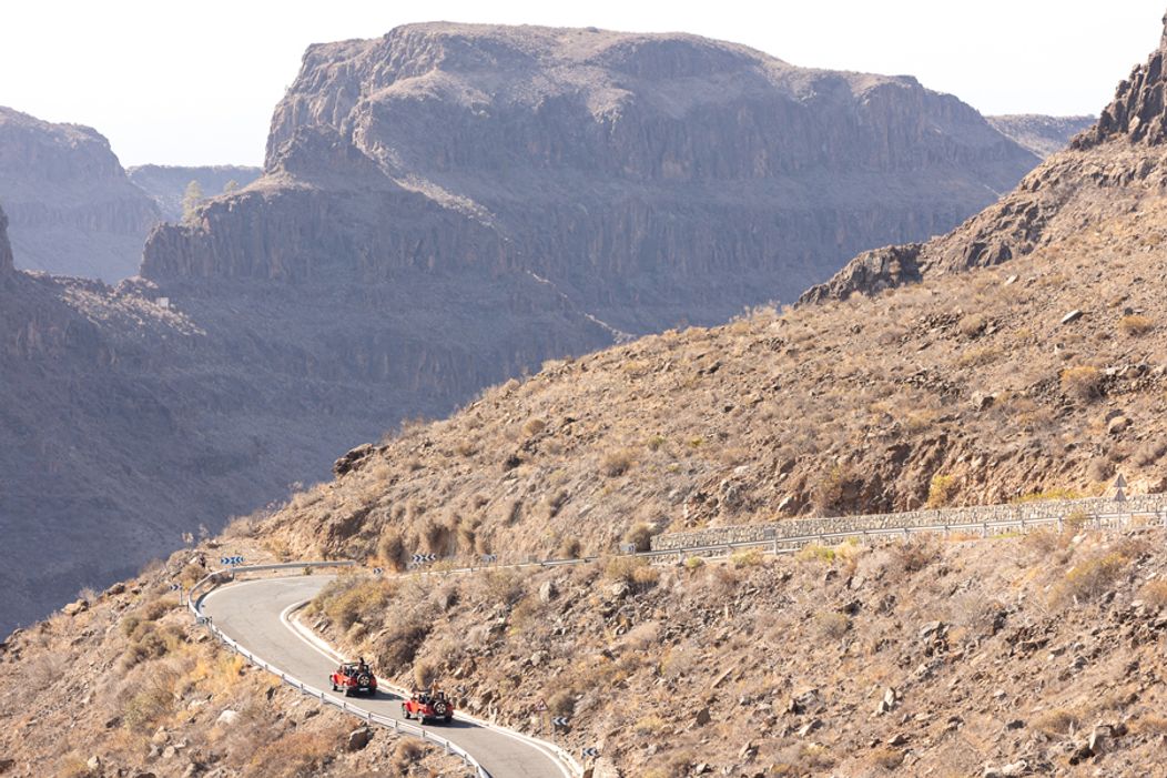 Veľkolepé príchody srdiečok na vilu