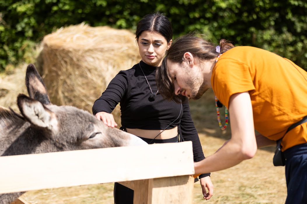 Druhý deň na Farme