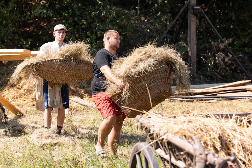 Zábery z 10 epizódy 16. série Farmy