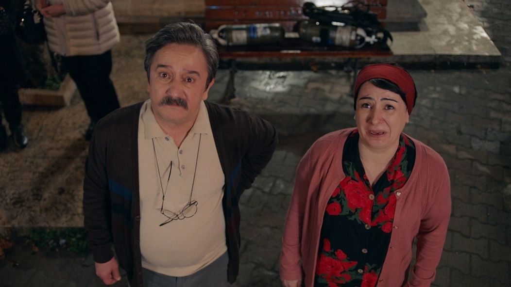 Láska, rozum, pomsta