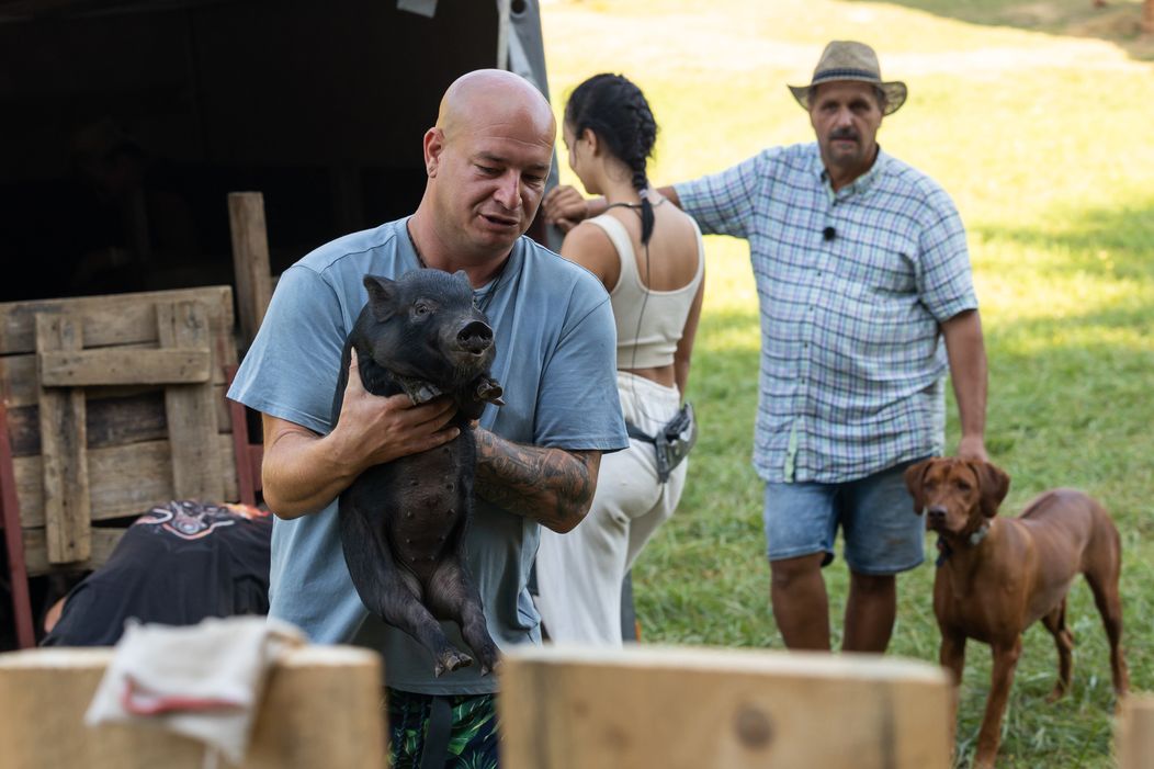 Na statok prišli nový obyvatelia, Roman zacítil rezne ...