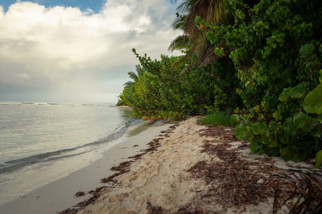 Dominikánska republika