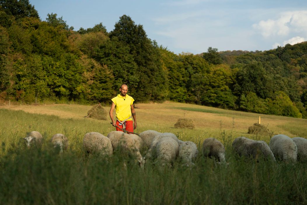 28. a 29. deň na Farme, Kúria vyhrala štafetu