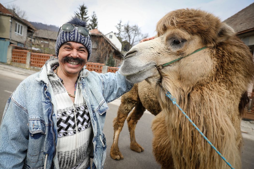 Ťaviak Ali v Hornej Dolnej