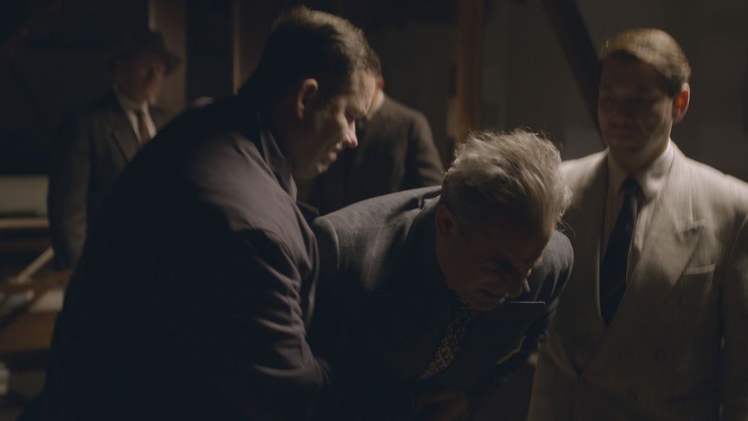 holubec nakladacka.jpg_bez_watermarku_1.3