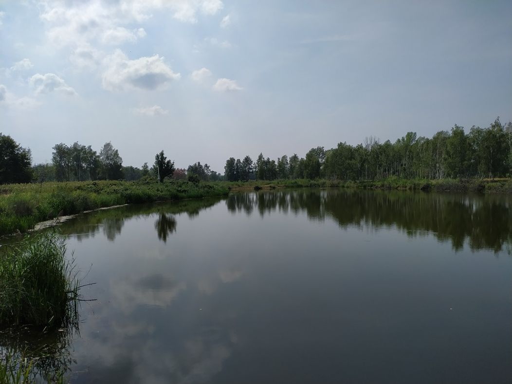 Úchvatný pohľad z domčeku farmára týždňa