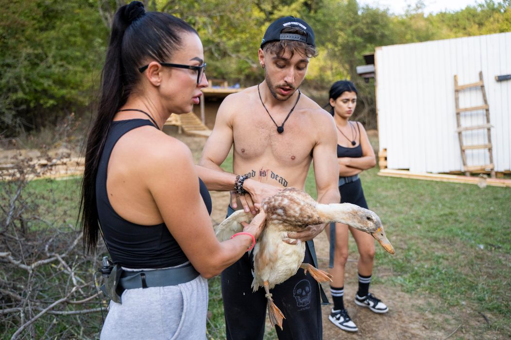 Ema sa ujala vlády na Farme, Adam opäť získal imunitu a prvá zabíjačka na statku