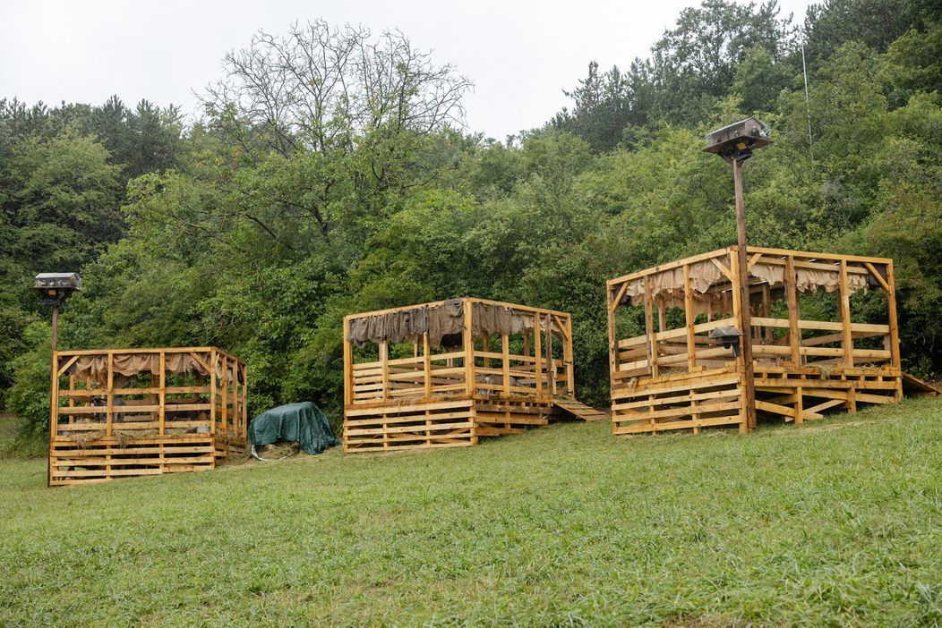 Tu nájdu farmári po príchode zvieratá