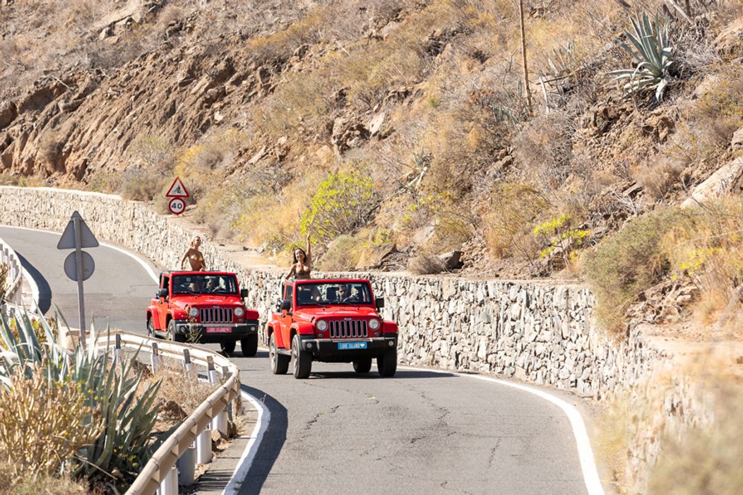 Veľkolepé príchody srdiečok na vilu