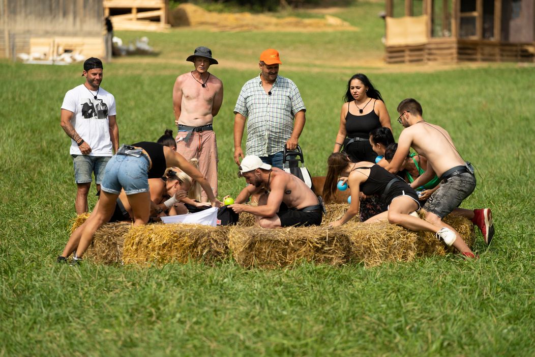 Veselý 21. deň na Farme, nové zvieratá, nové zranenie a guľôčková bitka