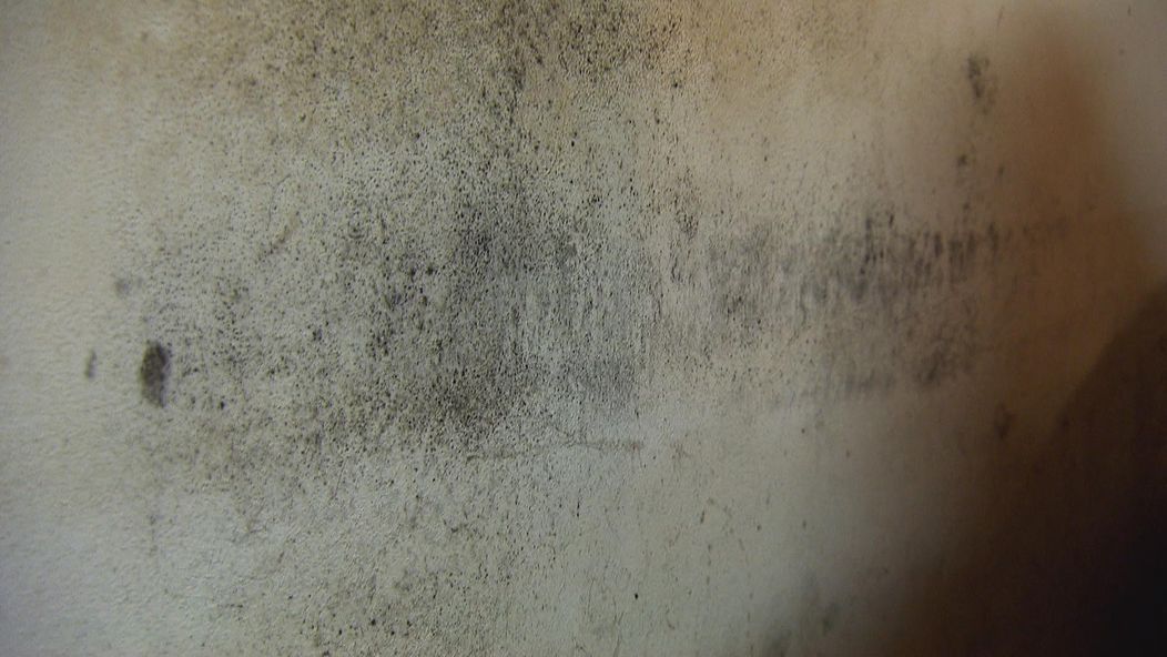 Špina v domácnosti v Zámene manželiek