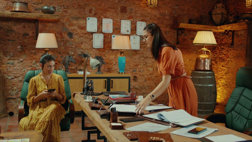 Veľvyslancova dcéra