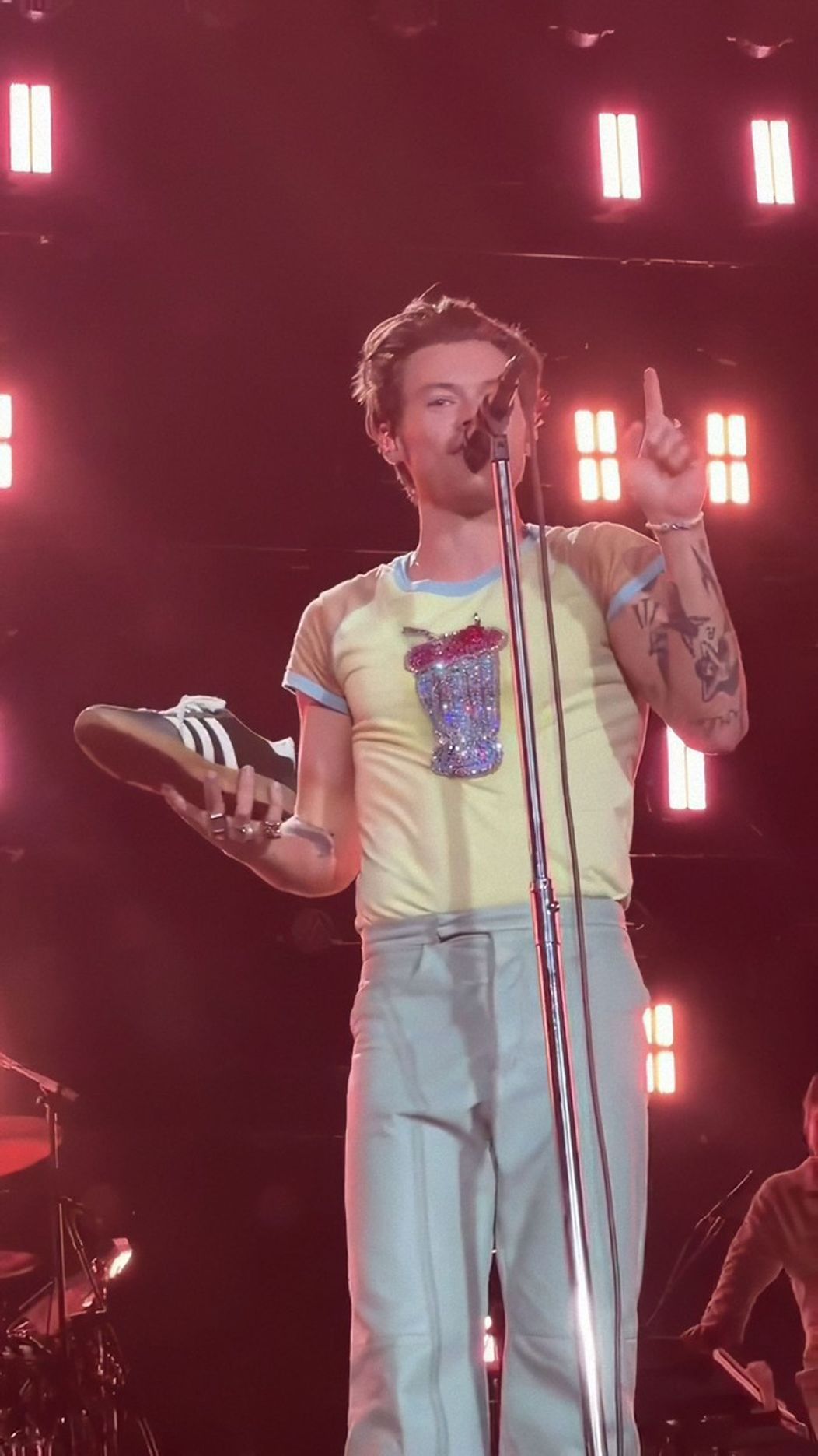 Harry Styles sa počas koncertu napil z tenisky