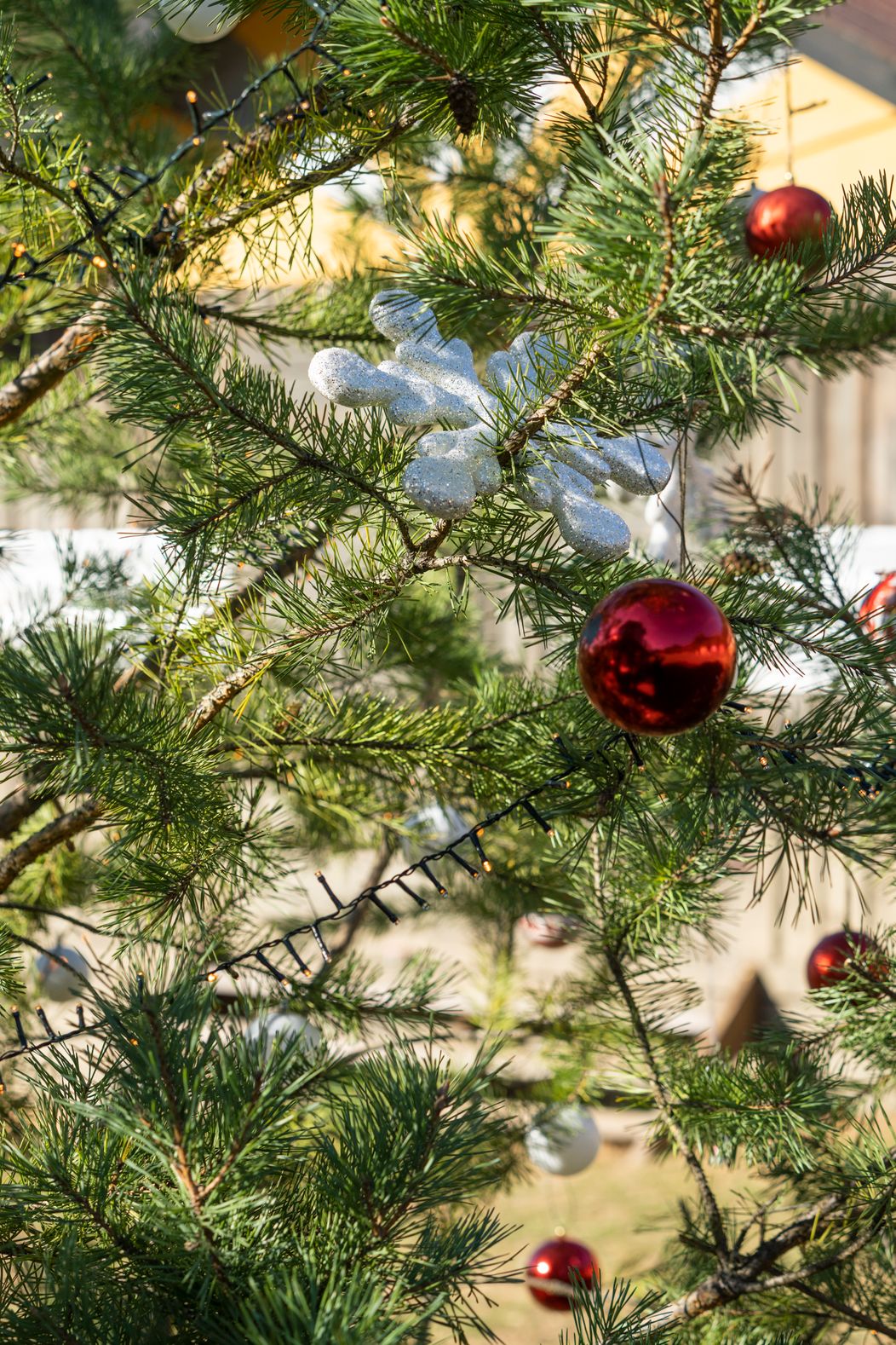 Predposledný deň na Farme
