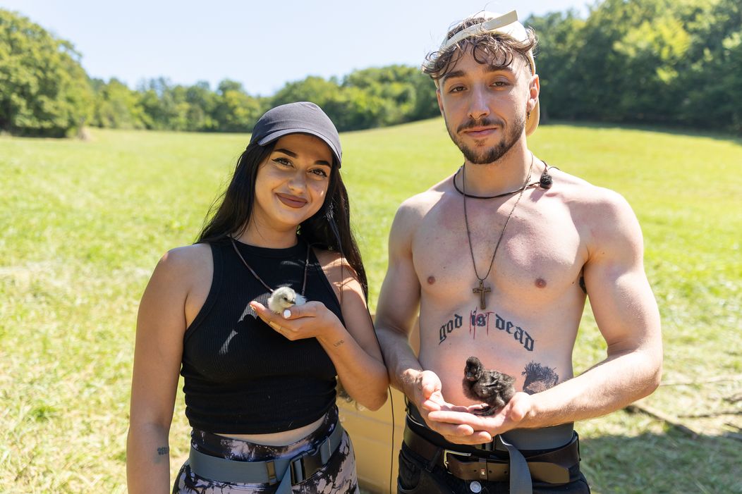 Zábery zo siedmeho dňa na statku