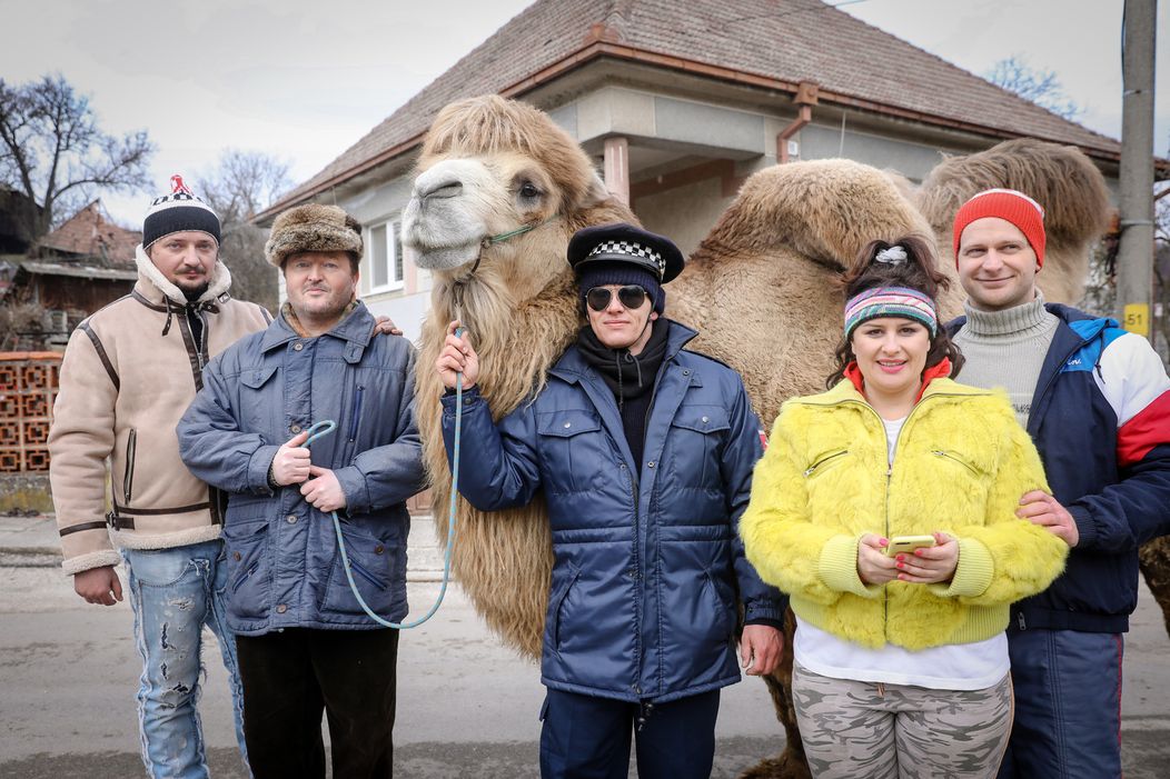 Ťaviak Ali v Hornej Dolnej