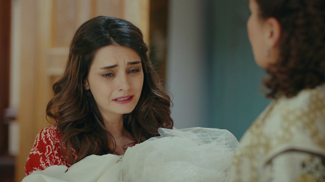 Veľvyslancova dcéra