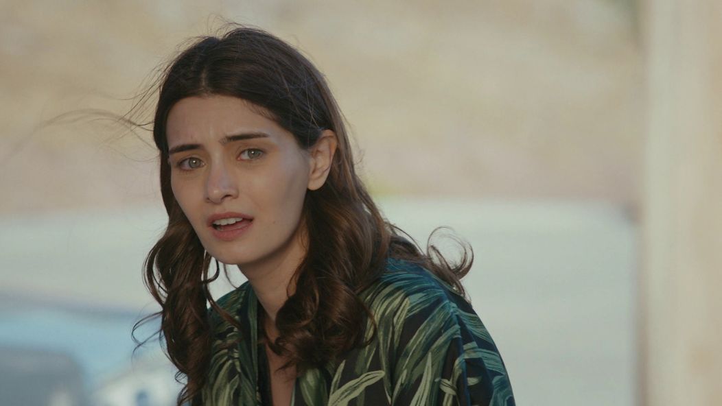 Veľvyslancova dcéra