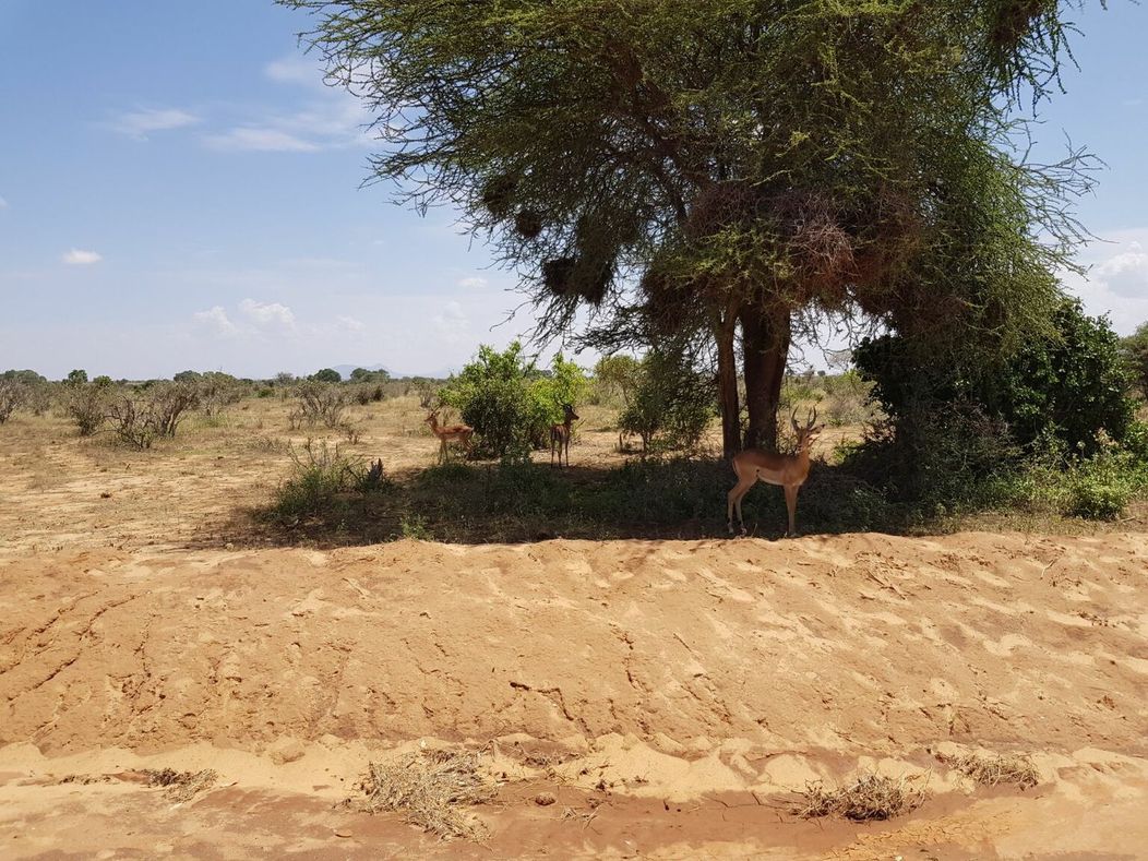 Markizák dovolenkoval s rodinkou v Afrike. Zábery, ktoré vám vyrazia dych