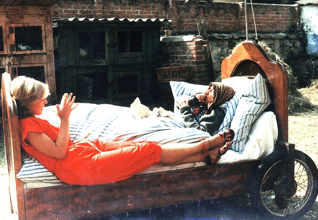 Slunce, seno, jahody