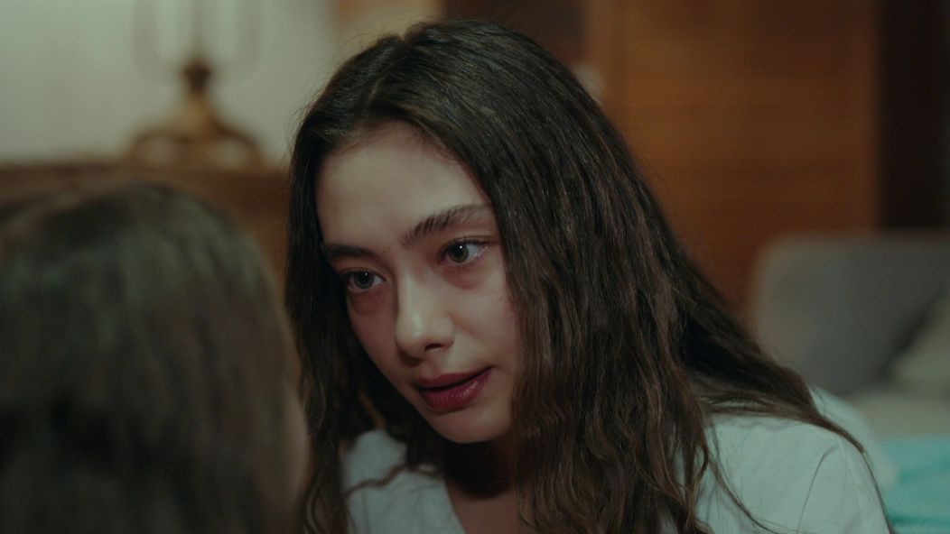 Veľvyslancova dcéra