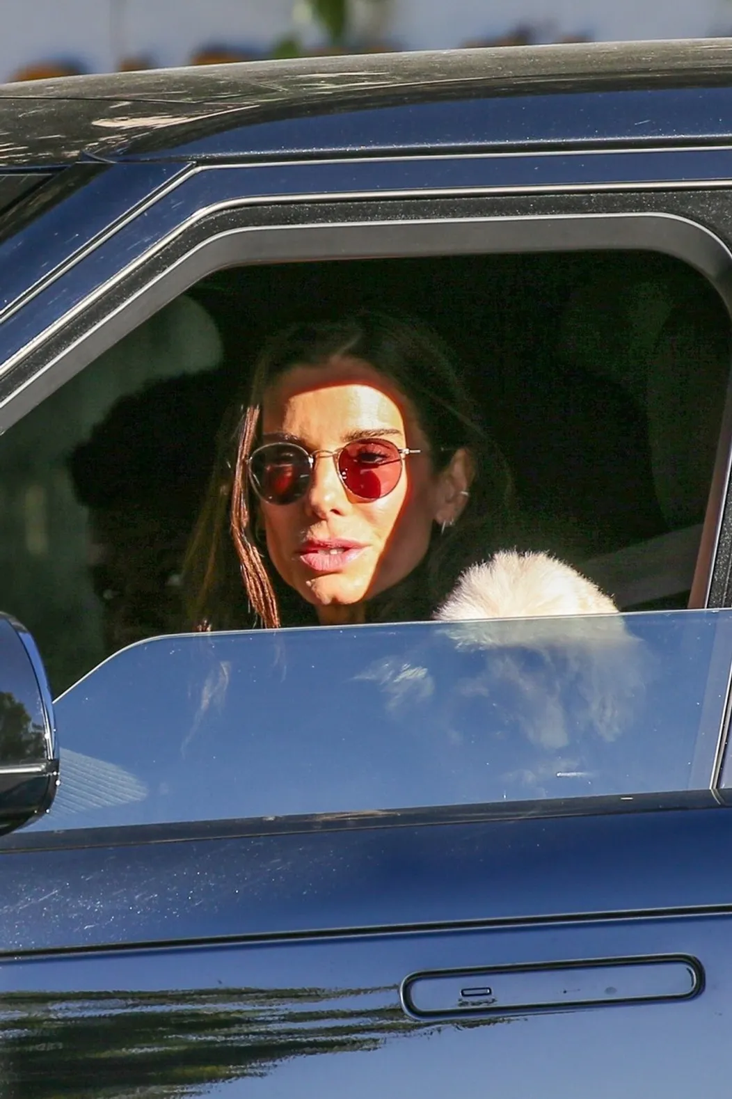 Sandra Bullock