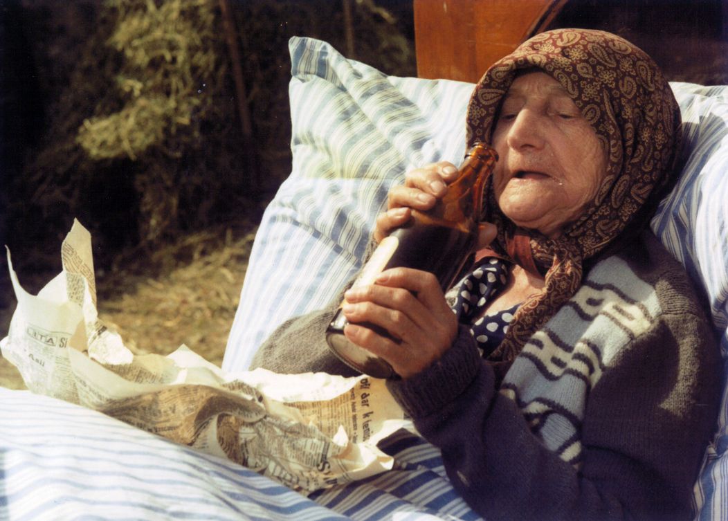 Slunce, seno, jahody