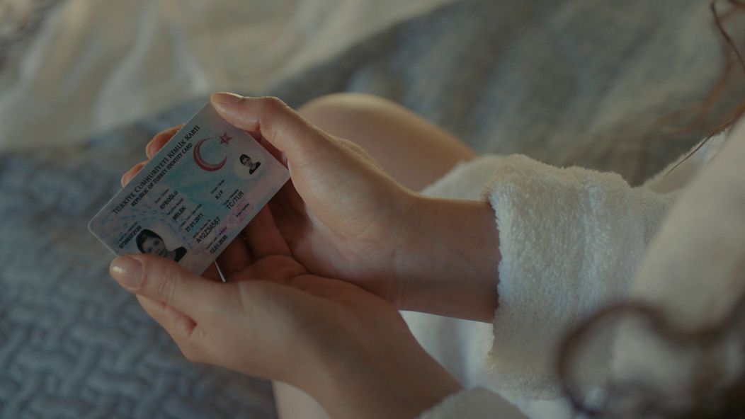 Veľvyslancova dcéra