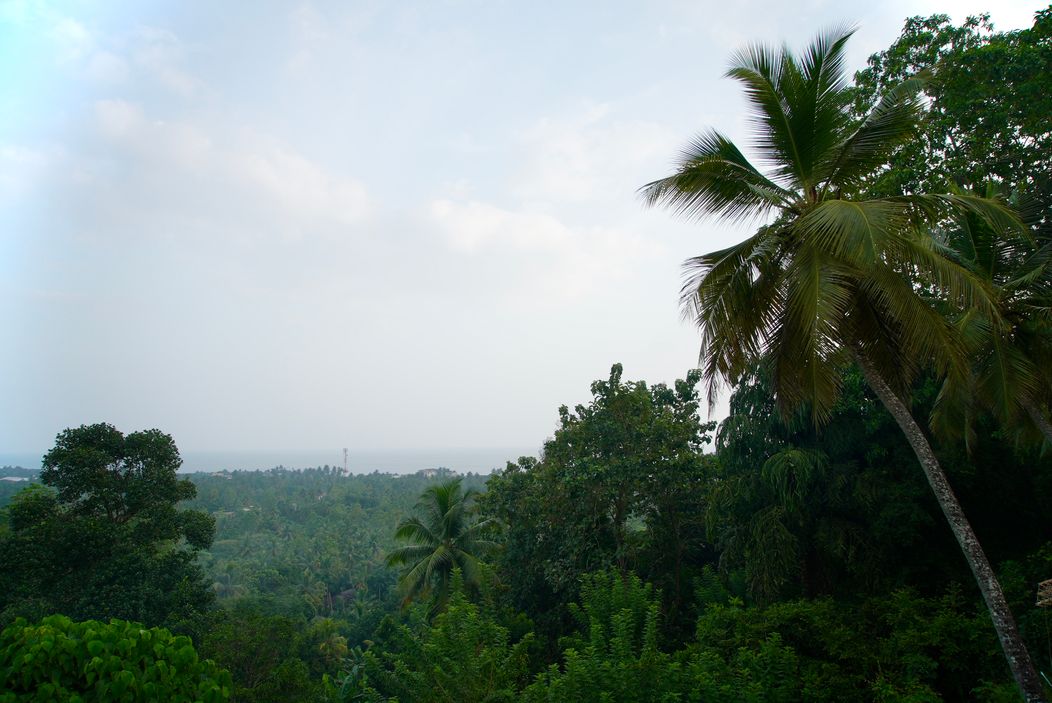 Pokračovanie Ruže pre nevestu na exotickej Srí Lanke