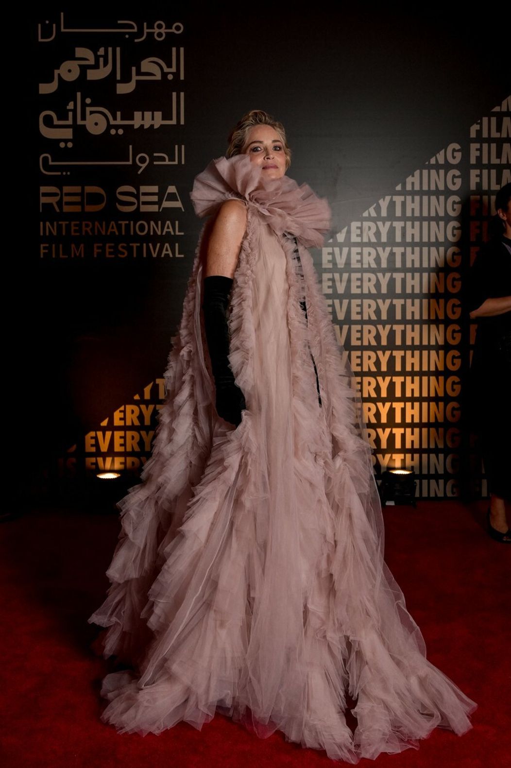 Sharon Stone