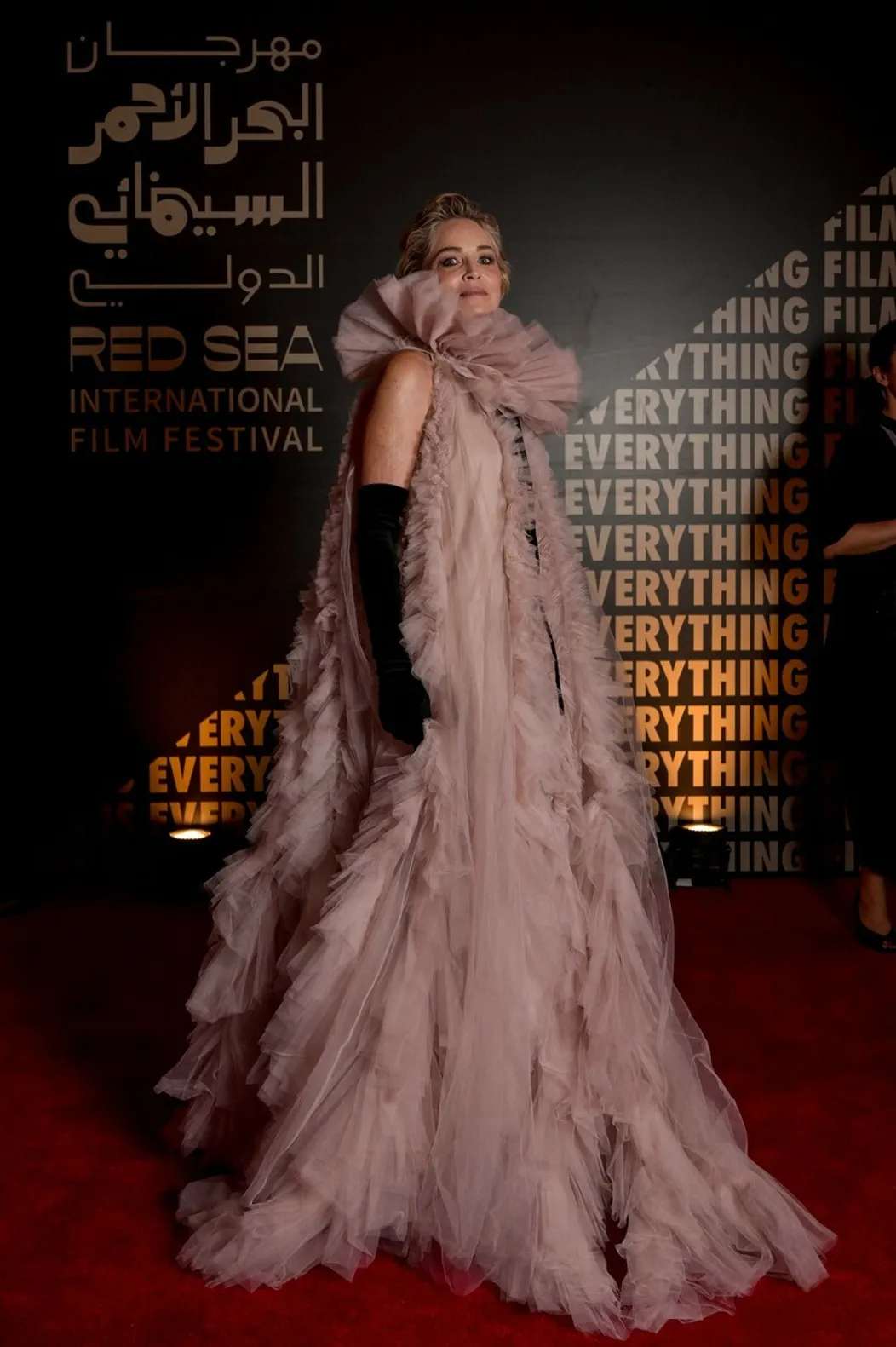 Sharon Stone