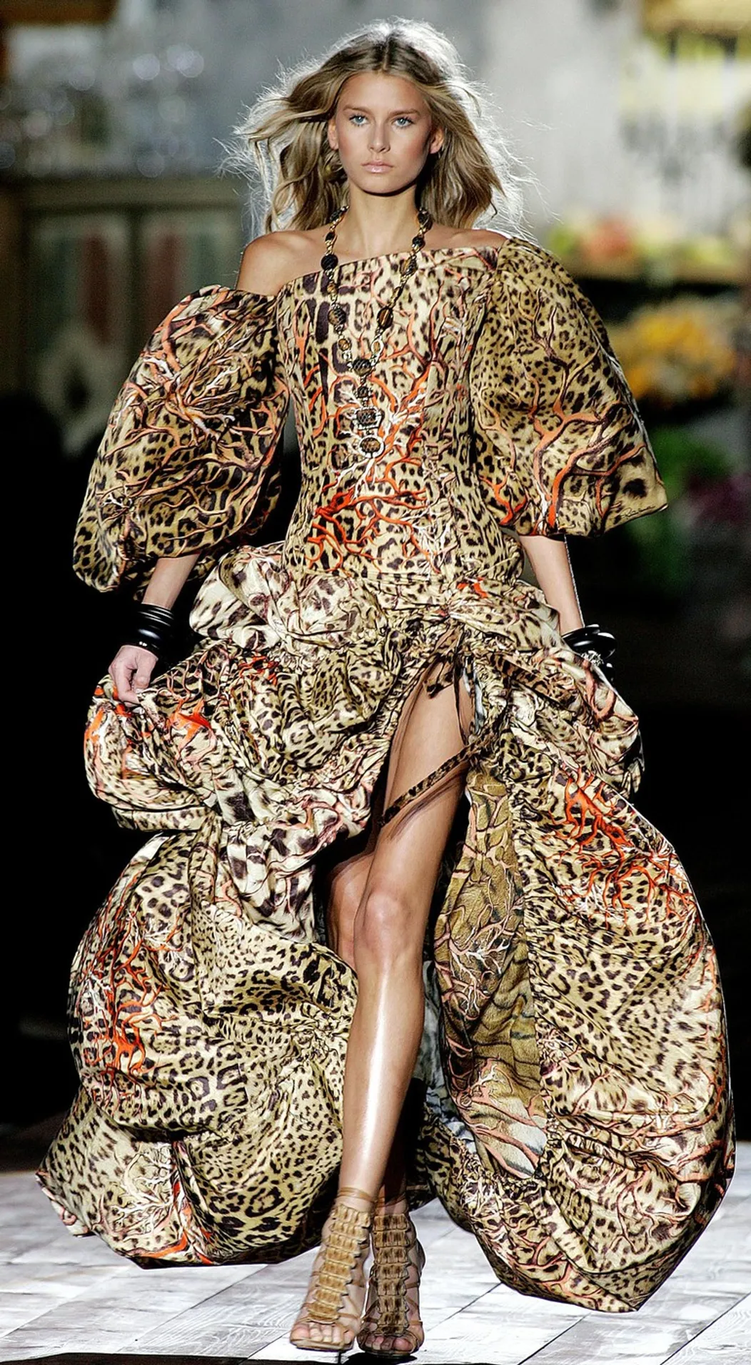 cavalli
