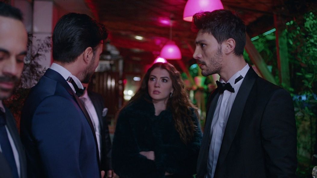 Láska, rozum, pomsta