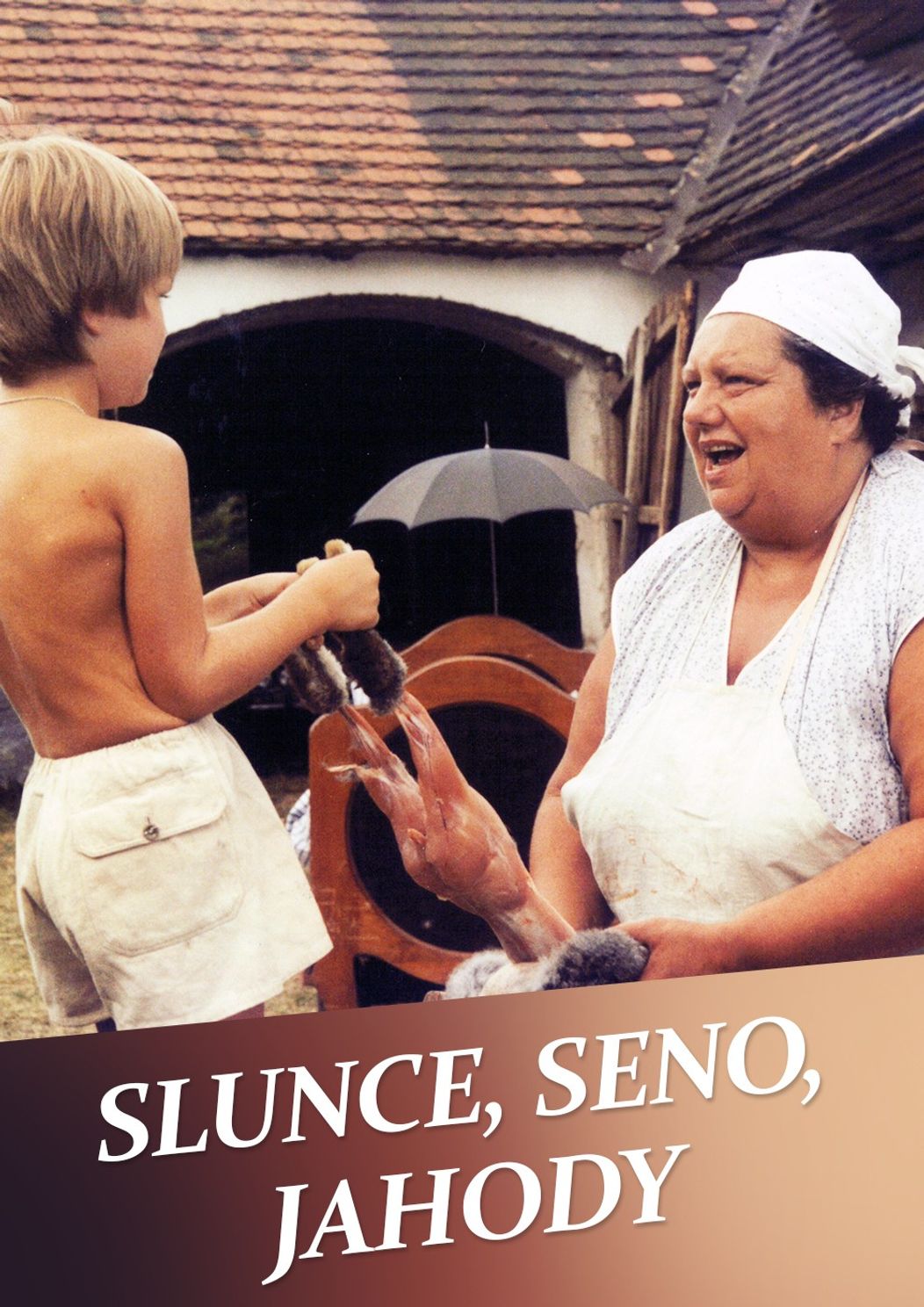 Slunce, seno, jahody