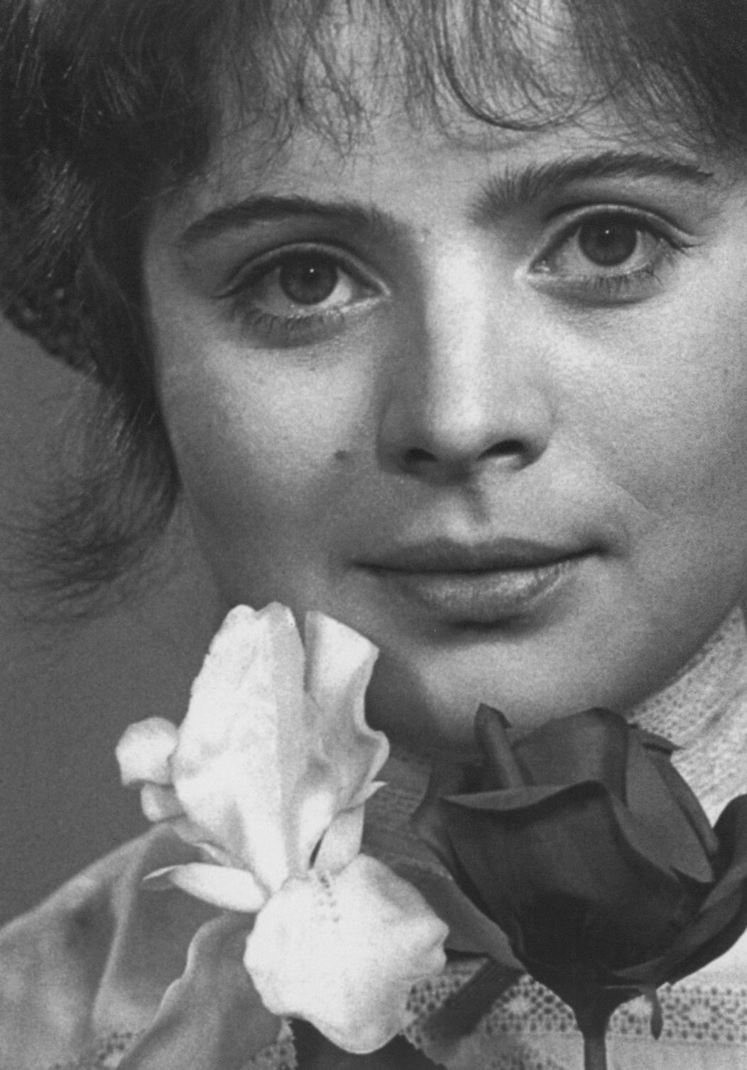 Libuše Šafránková