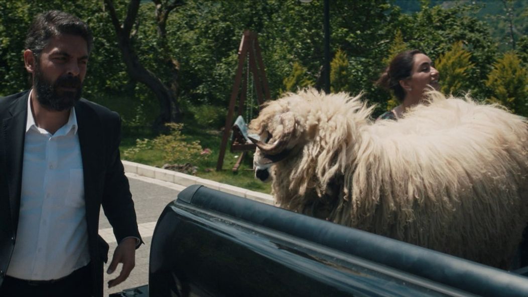 Zachránené životy