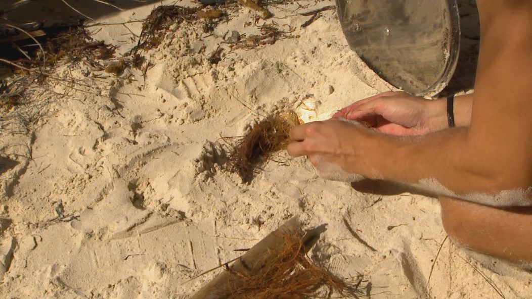 Pítrovi sa podaril malý zázrak.