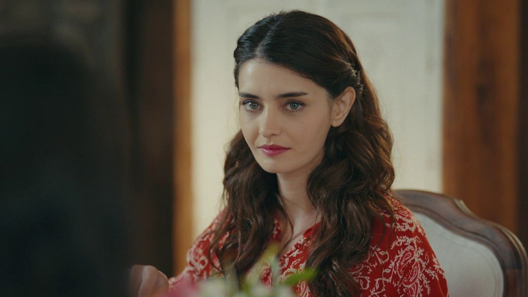 Veľvyslancova dcéra