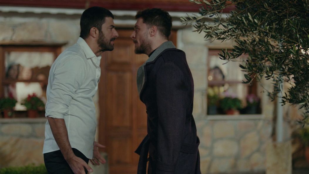 Veľvyslancova dcéra