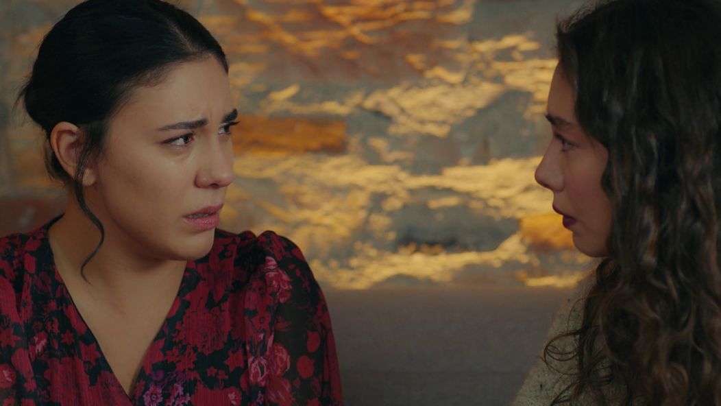 Veľvyslancova dcéra