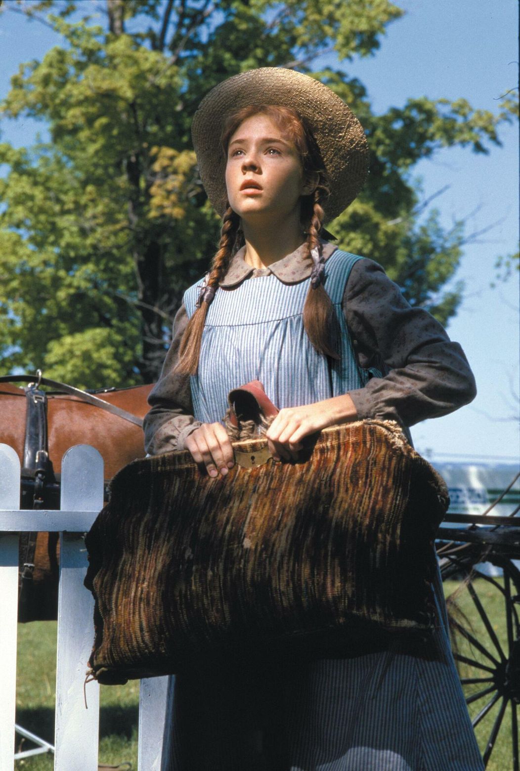 Anna zo Zeleného domu