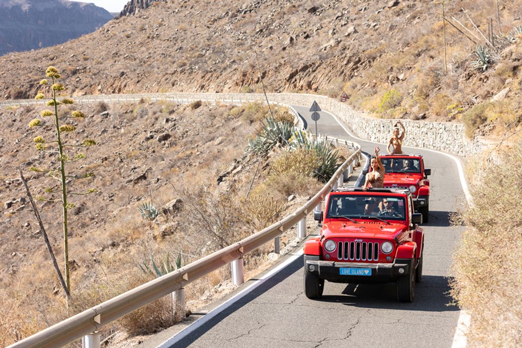 Veľkolepé príchody srdiečok na vilu