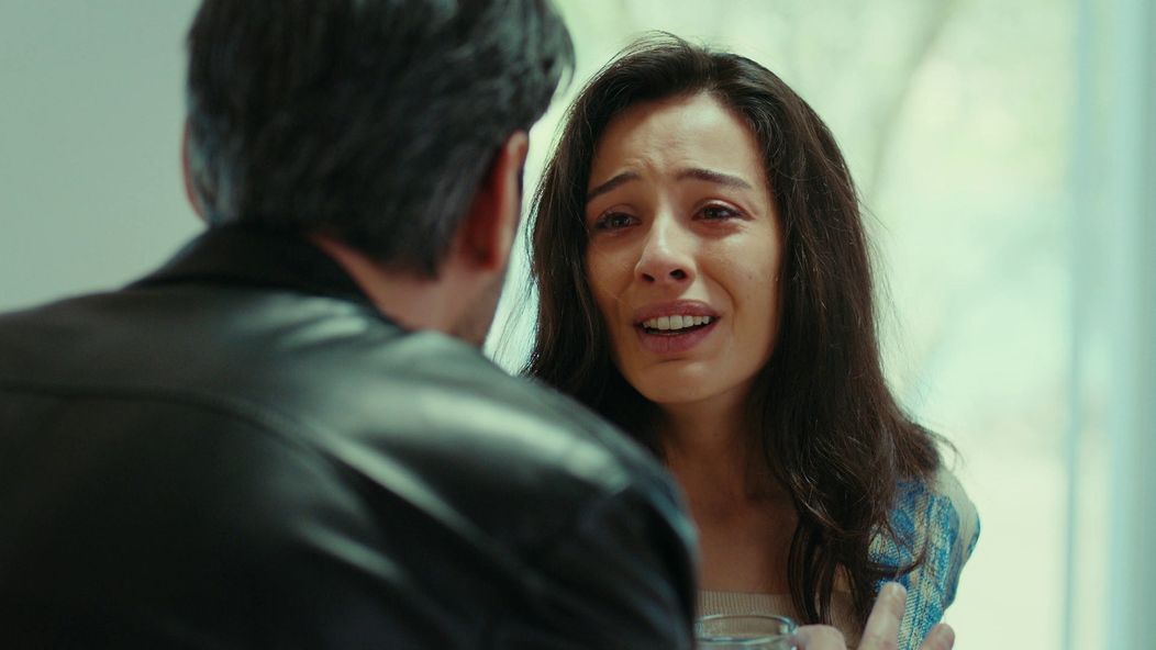 Veľvyslancova dcéra