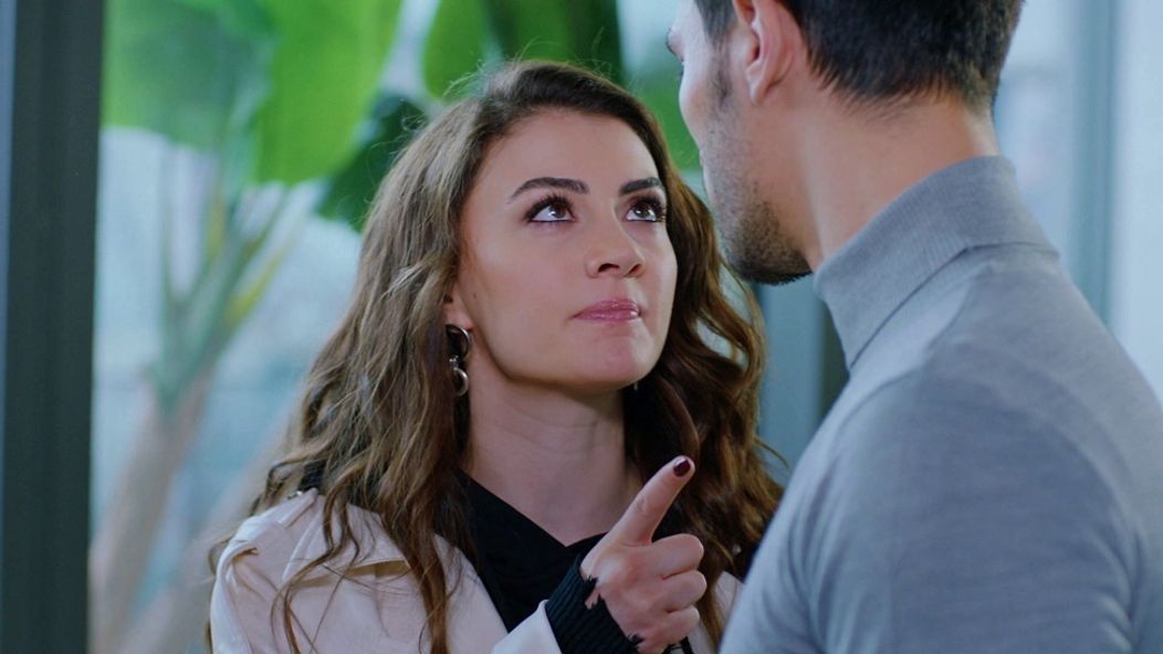 Láska, rozum, pomsta