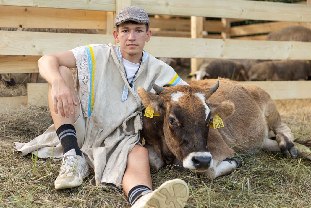 Zábery z 8. epizódy 16. série Farmy