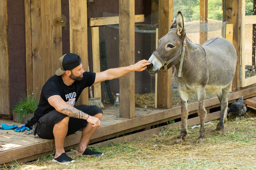 Dvanásty deň na statku