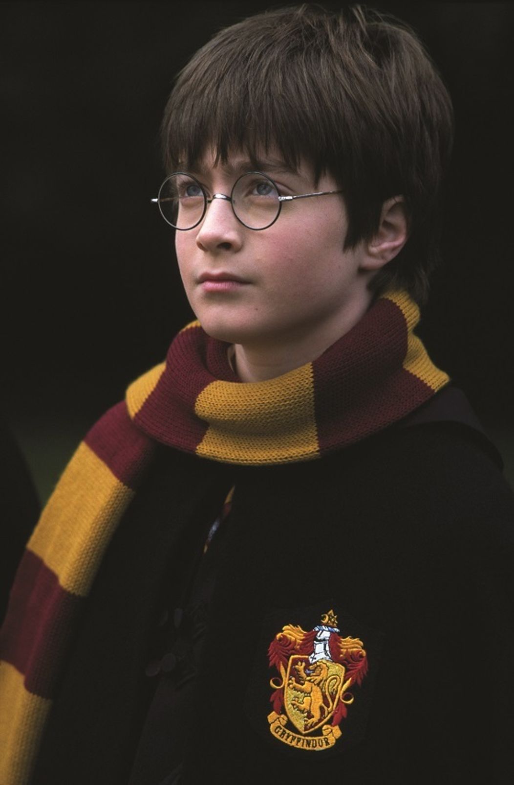 Harry Potter a Kameň mudrcov
