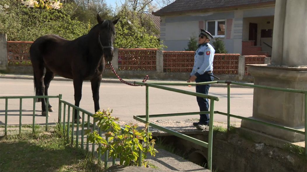 Stano Sojka v Hornej Dolnej