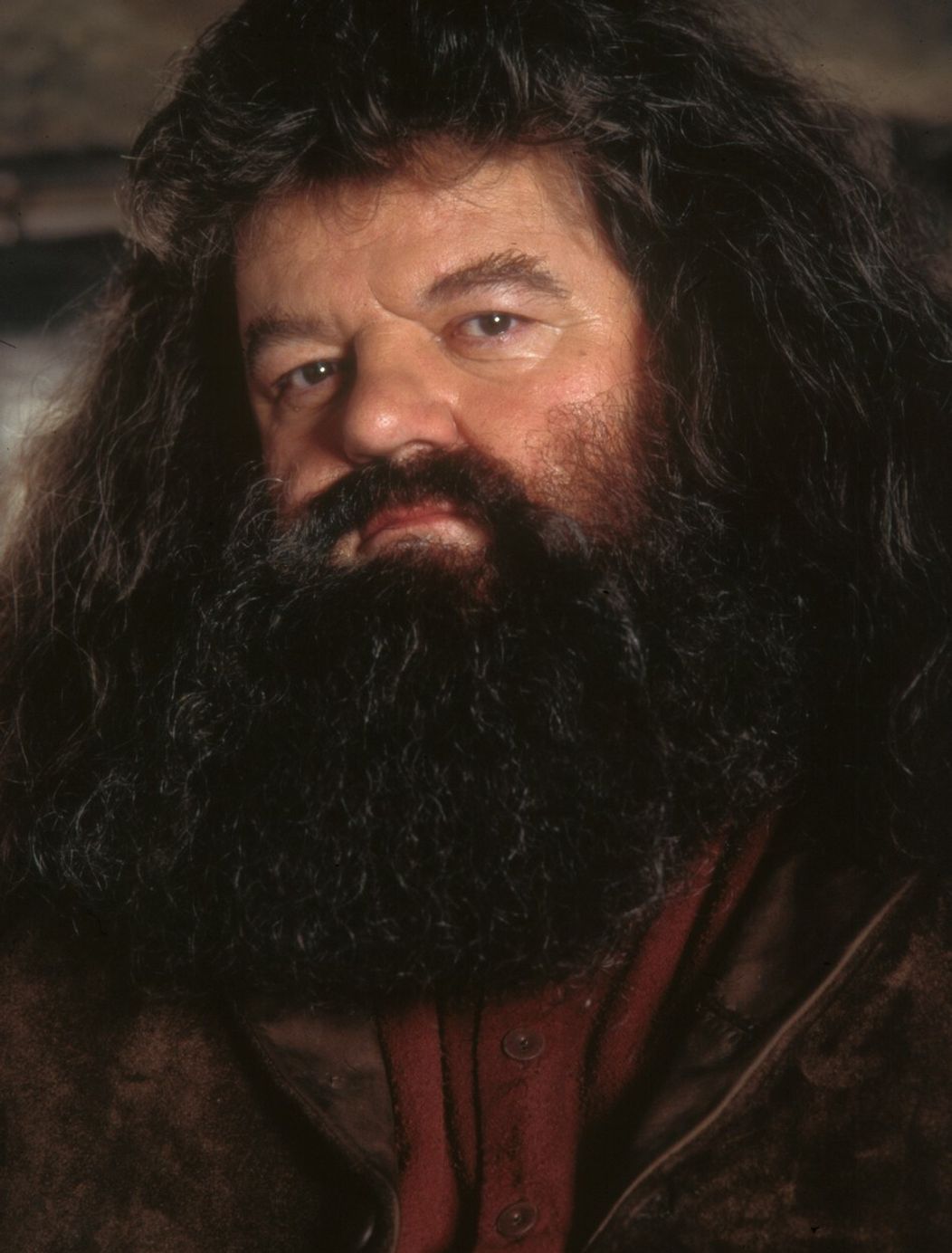 Robbie Coltrane ako Hagrid v Harrym Potterovi.